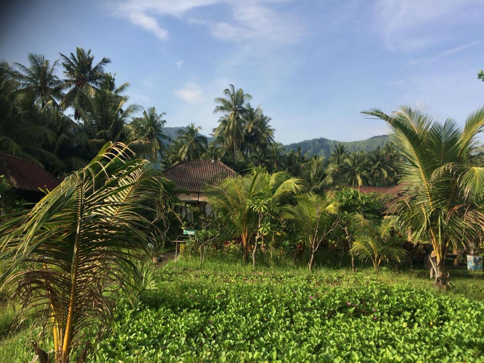 Bali Segara Lestari Oceanfront Villas Tejakula Extérieur photo