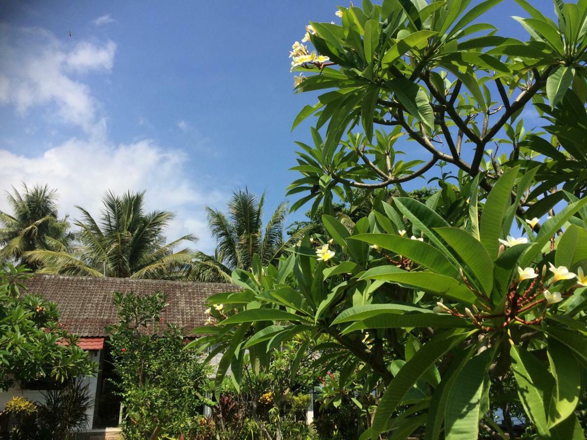 Bali Segara Lestari Oceanfront Villas Tejakula Extérieur photo