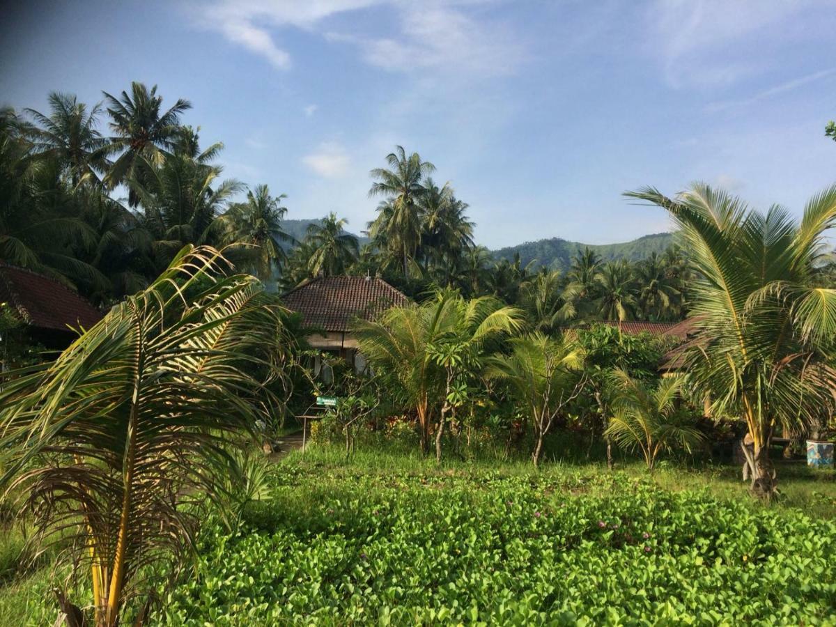 Bali Segara Lestari Oceanfront Villas Tejakula Extérieur photo